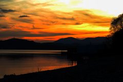 IMG_1982