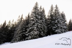 IMG_8896