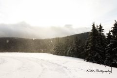 IMG_8924