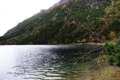 morskie-oko66
