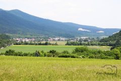 vestenice2