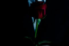 IMG_8932